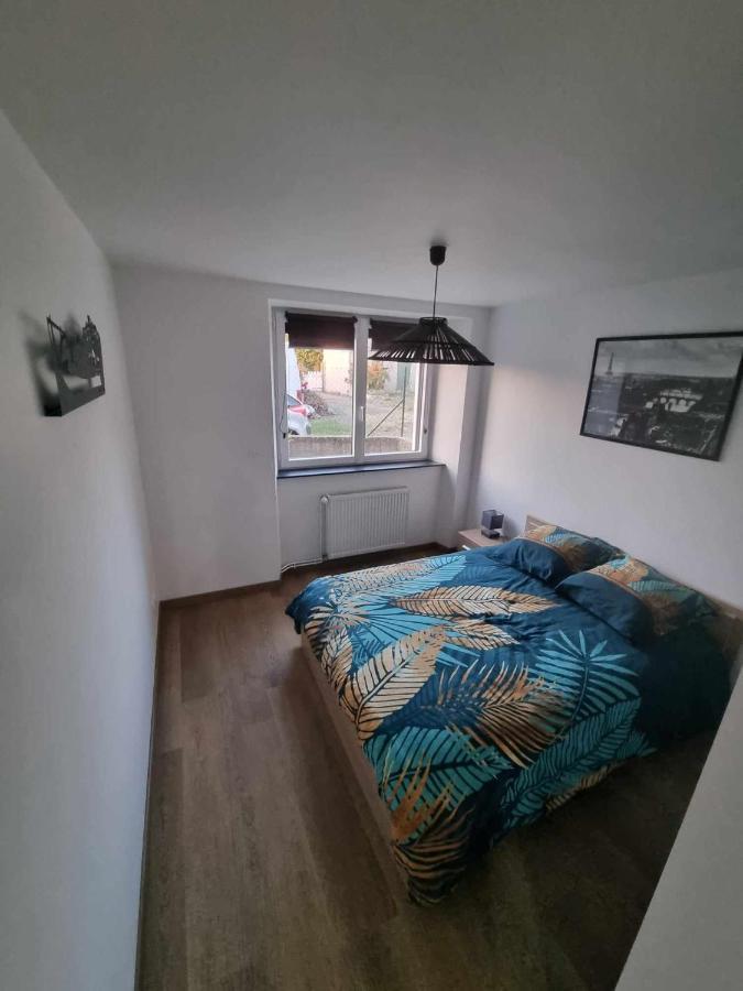 Appartement Le Crozatier Saint-Georges  Ngoại thất bức ảnh